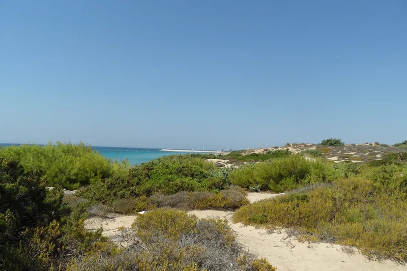 Dune di Campomarino