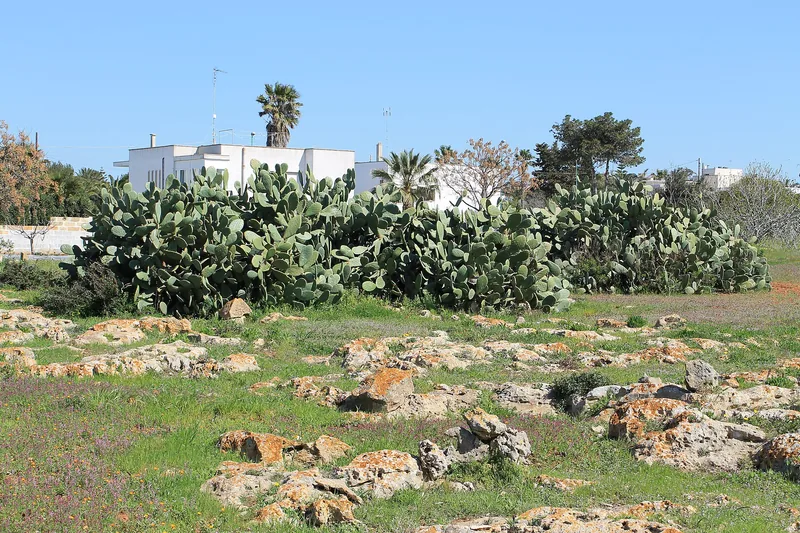 Torre Suda