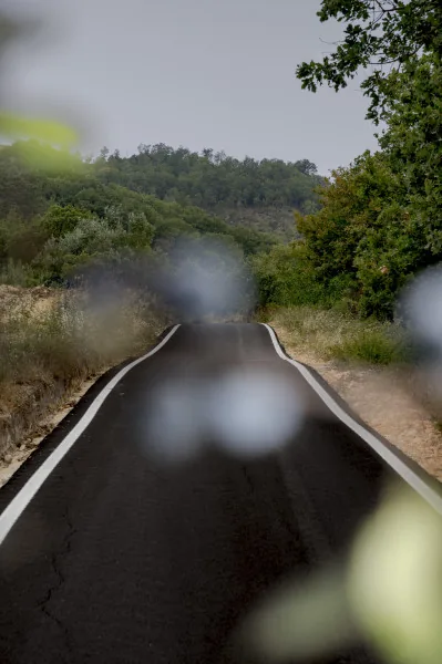 Locandina: Linea Sud: paesaggio fotografico dopo il Duemila