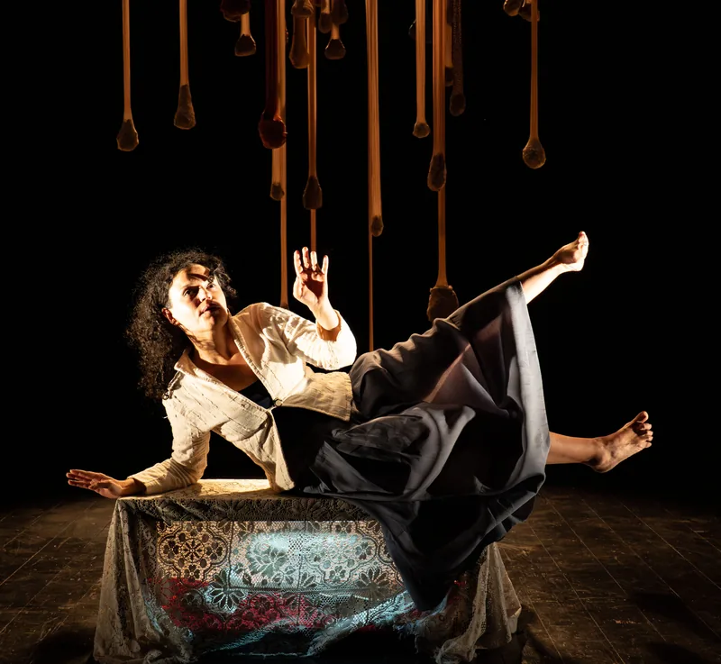 Locandina: La donna che dorme