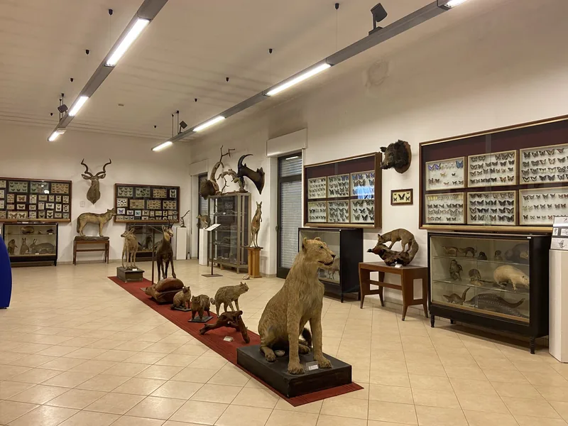 Museo Missionario Cinese e di Storia Naturale