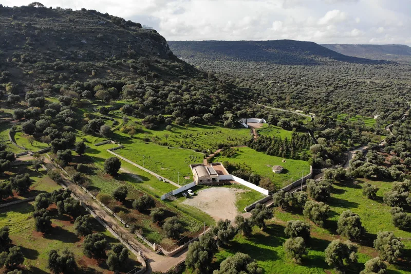 Parco Archeologico di Santa Maria Agnano