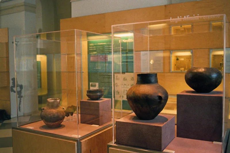 Museo di Paleontologia e paletnologia "D. De Lorentiis"