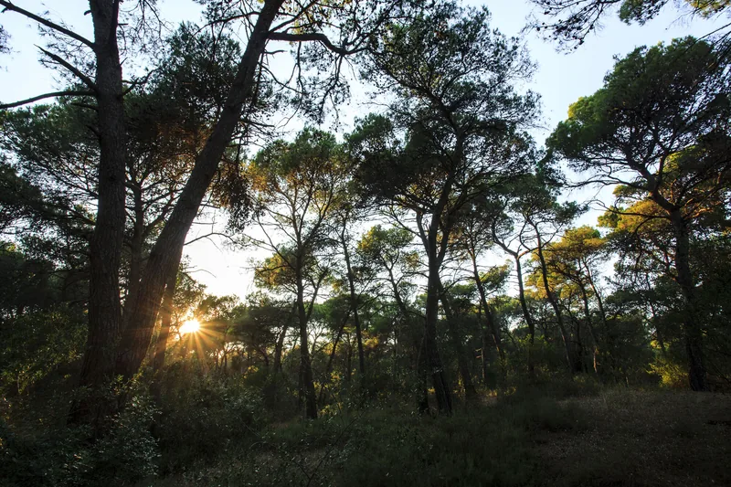 Riserva Naturale Statale Stornara