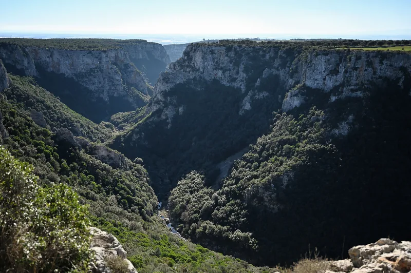 Gravina di Laterza