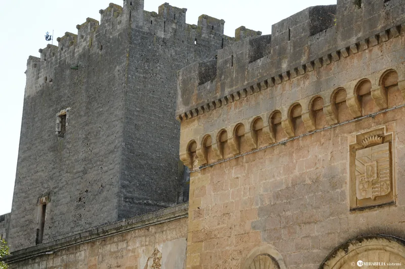 Palazzo Dentice di Frasso