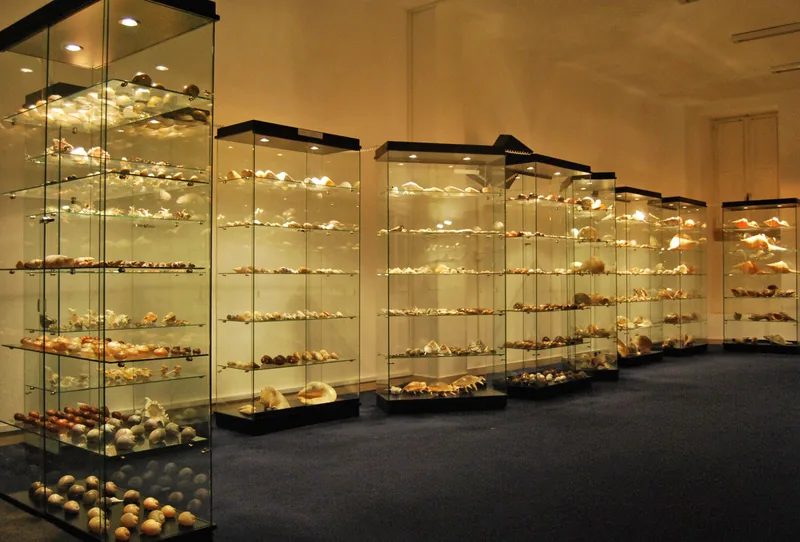 Esposizione