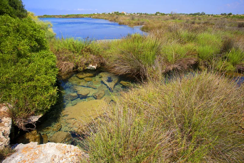 Riserva Naturale Orientata Palude del Conte e Duna Costiera