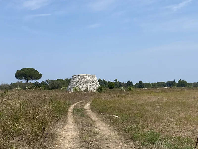 Zona di Apigliano