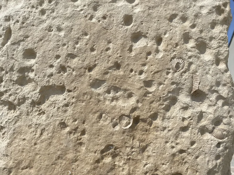 Martano - Particolare del Menhir del Teofilo
