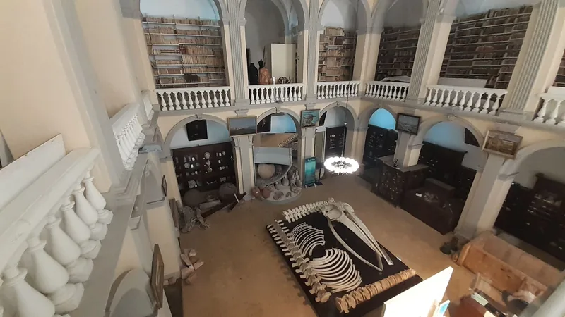 Museo Emanuele Barba