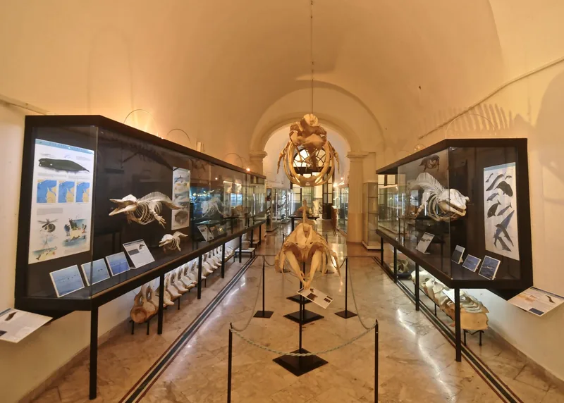 Museo del Mare