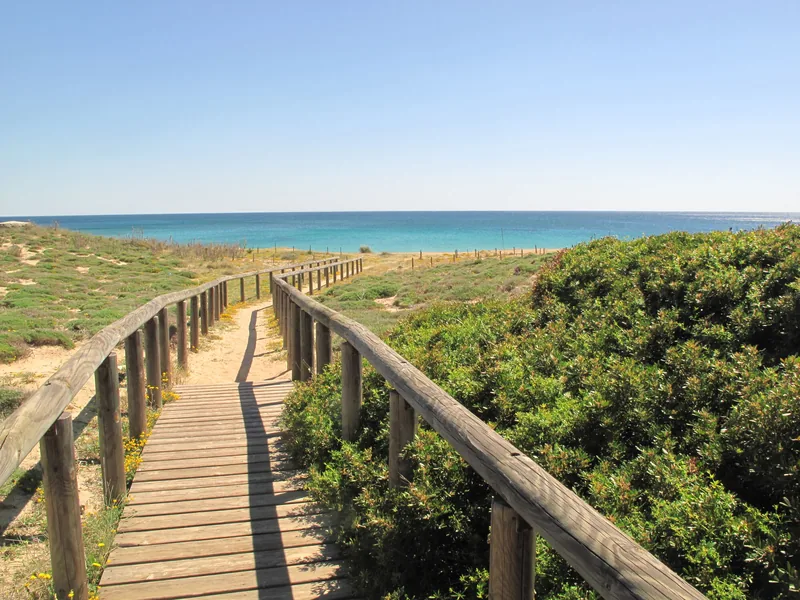 Dune di Campomarino