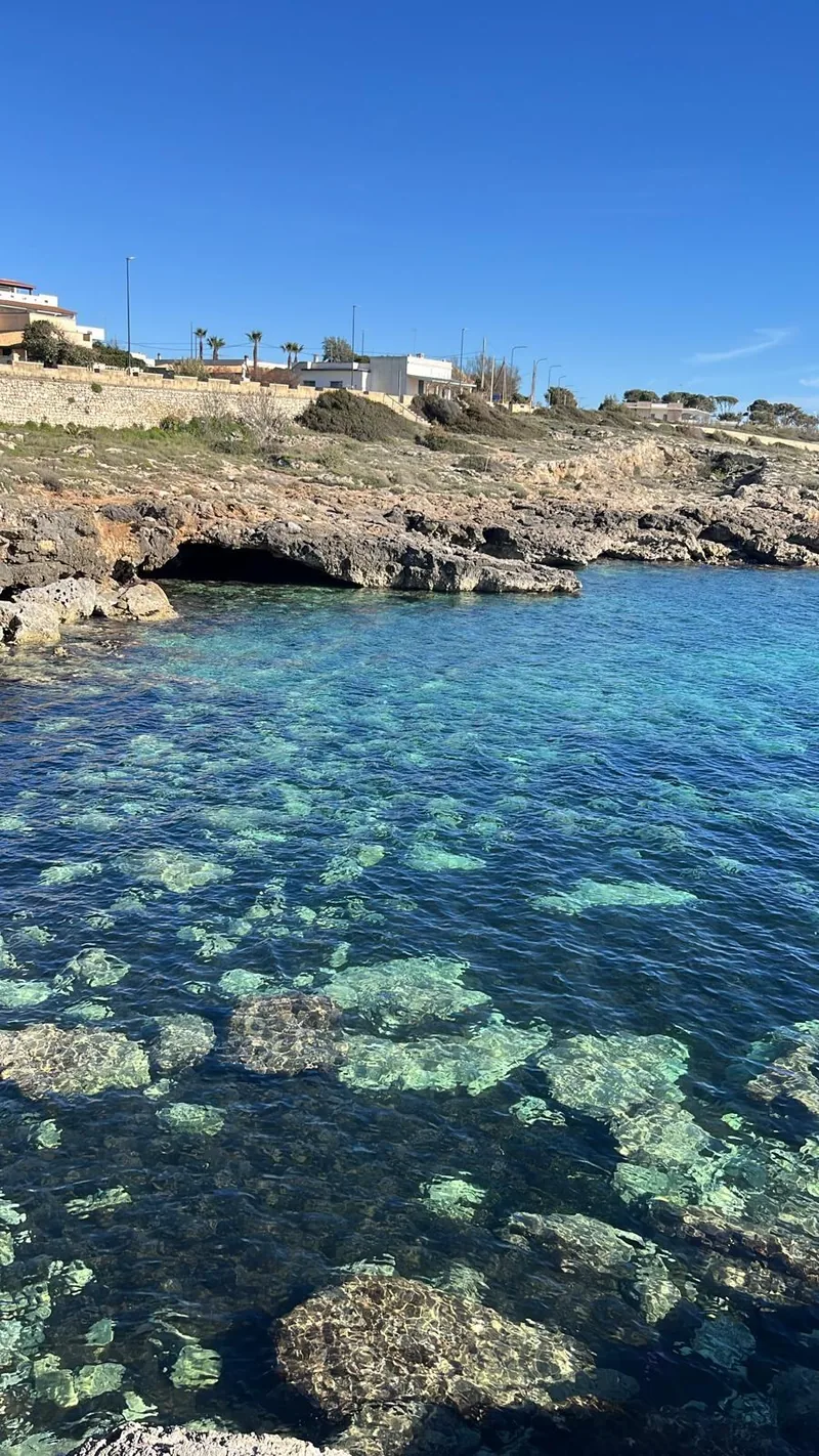 Capilungo, Alliste