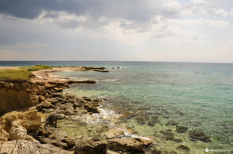 Torre Ovo