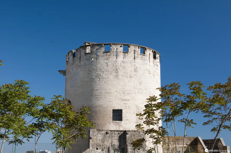 Torre di Belloluogo