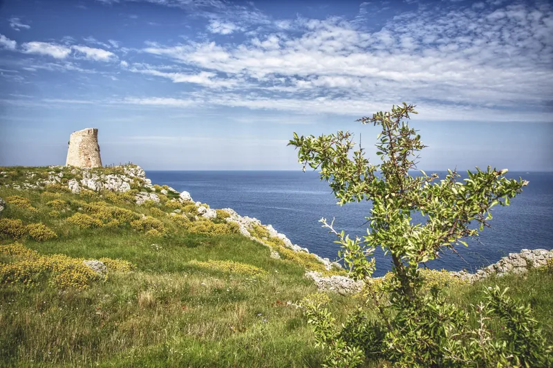 Torre Minervino