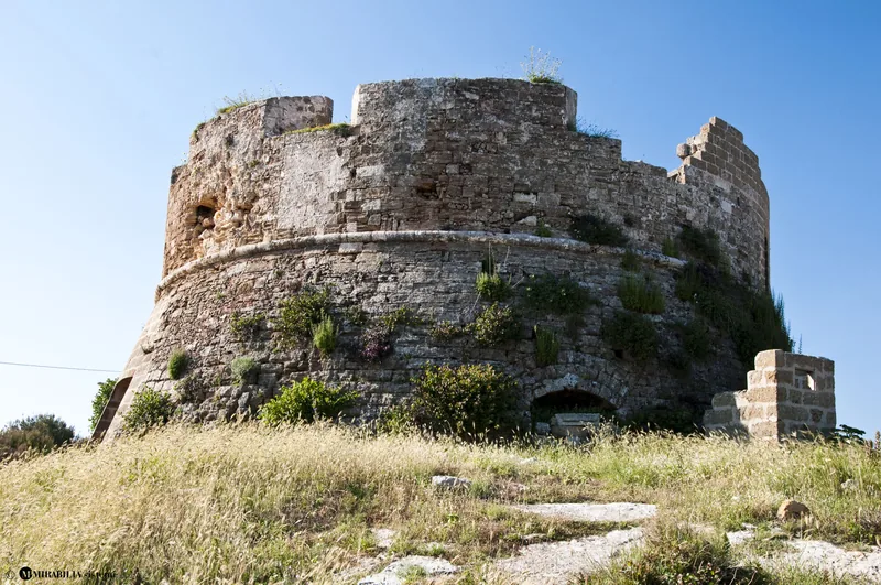 Torre dell'Omo Morto