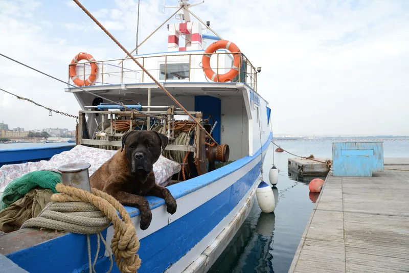 Porto di Taranto